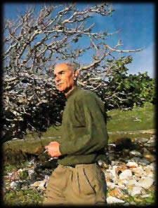 Manlio Massole